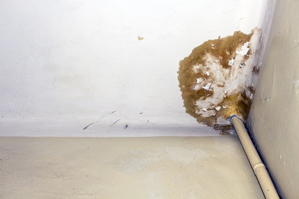 When to Replace Old Plumbing Pipes